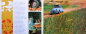 Preview: Citroen 2 CV Modelprogram 1965 Carbrochure (1091)